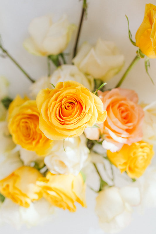 A Rose By Any Other Name