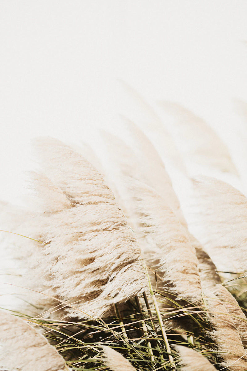 Comforting Flower Bouquets for Times of Grief
