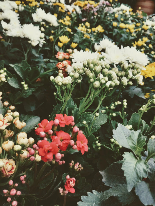 Seasonal Flower Bouquets Perfect Picks for Every Season