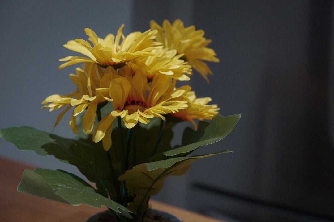 Sympathy Flowers that Offer Comfort and Grace