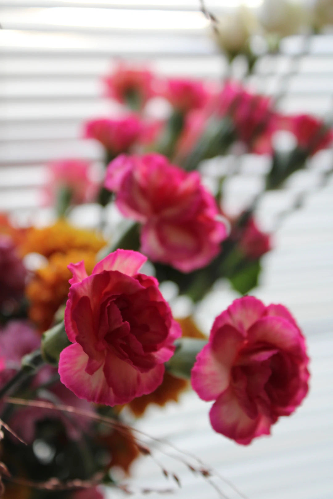 Floral Care 101 Keeping Your Bouquets Fresh Longer