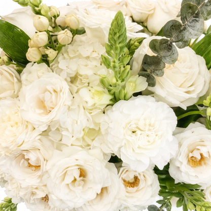 White roses and hydrangeas.