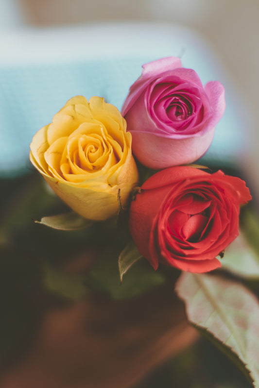A Rose By Any Other Name